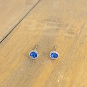 Artist Made Swarovski Crystal Studs